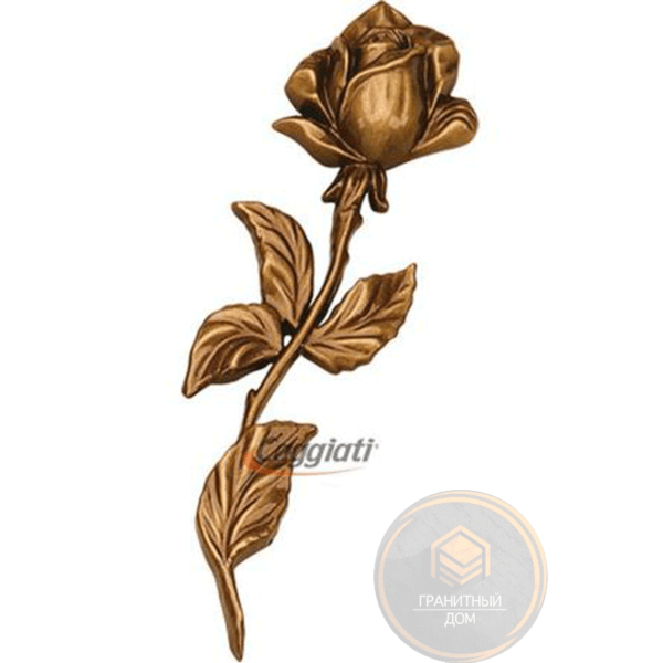 цветок caggiati
